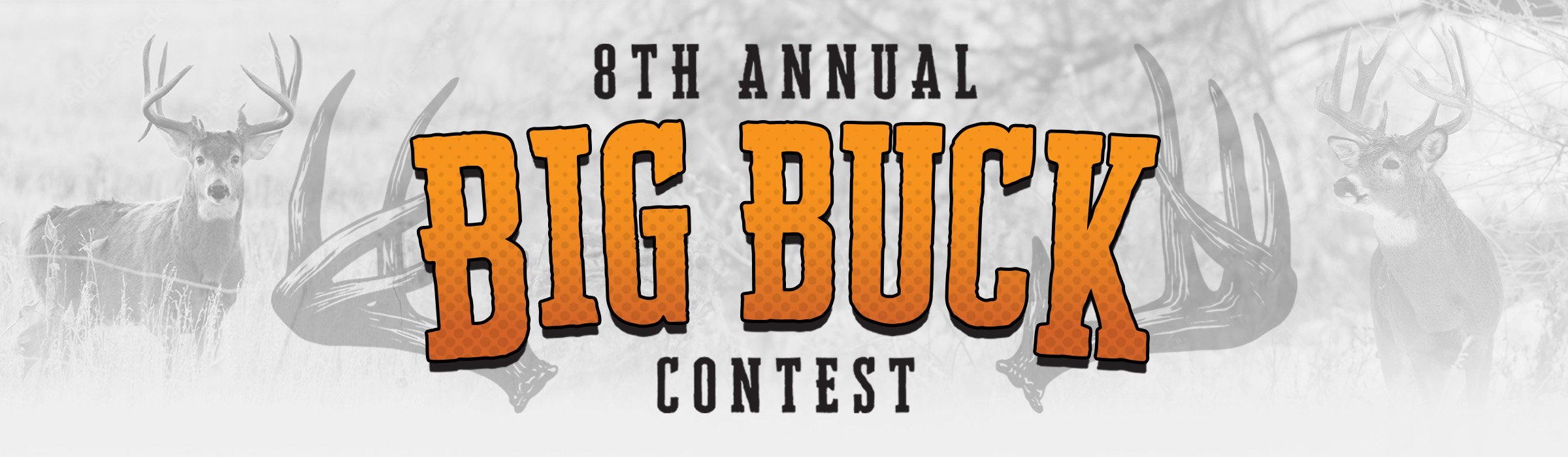 Big Buck 25 Contest Banner