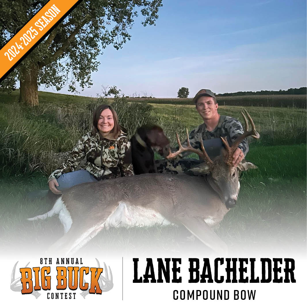 Lane-Bachelder