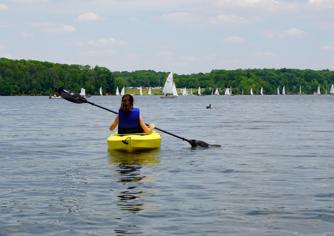 Cowan Lake State Park Kayaking