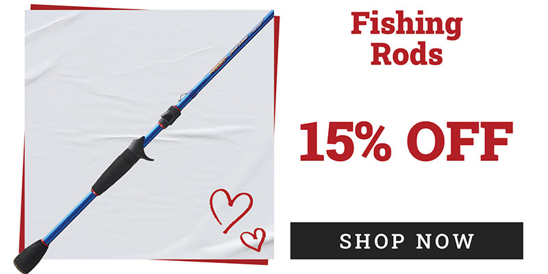 15% Off - Fishing Rods